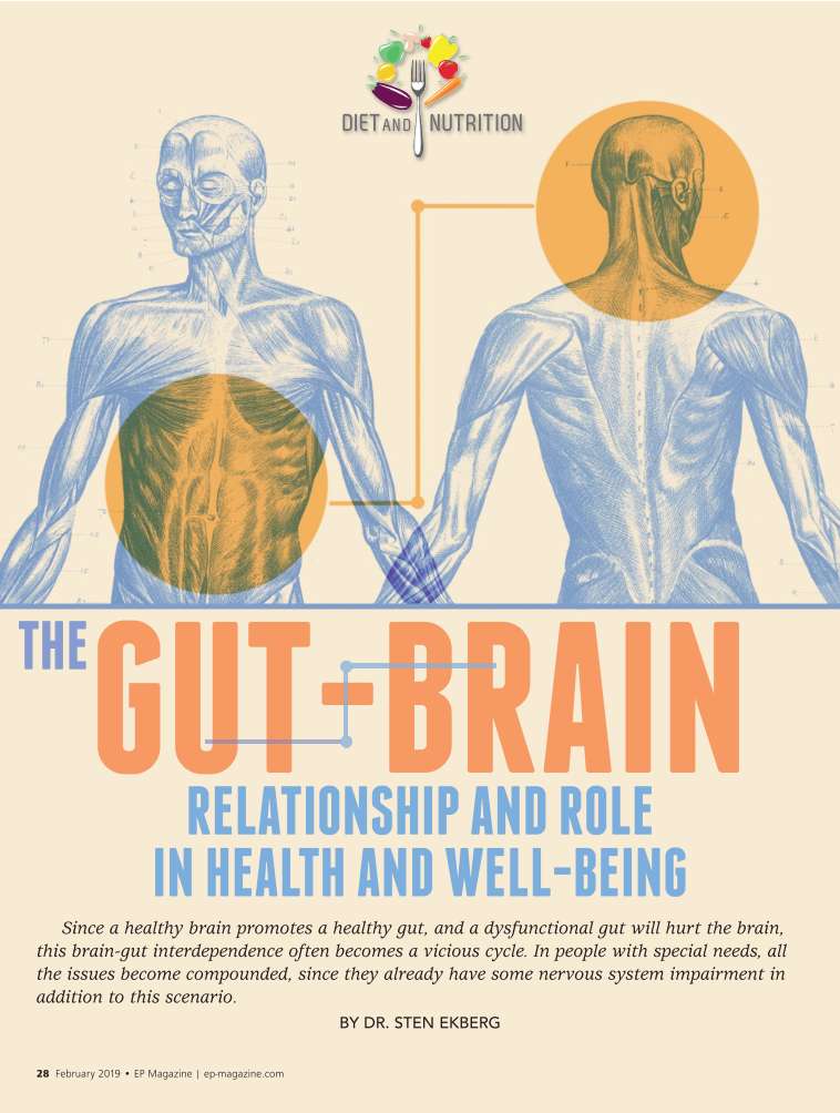 THE GUT-BRAIN RELATIONSHIP AND ROLE IN HEALTH AND WELL-BEING